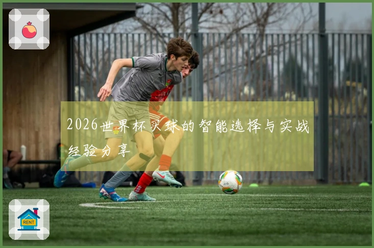 2026世界杯买球的智能选择与实战经验分享