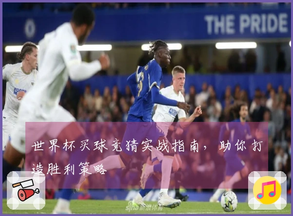世界杯买球竞猜实战指南，助你打造胜利策略